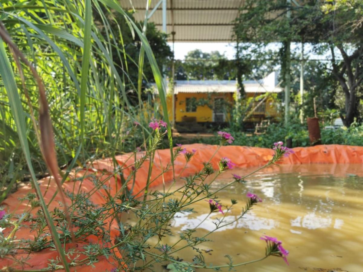 Hornbill Farm Resort ハイデラバード エクステリア 写真
