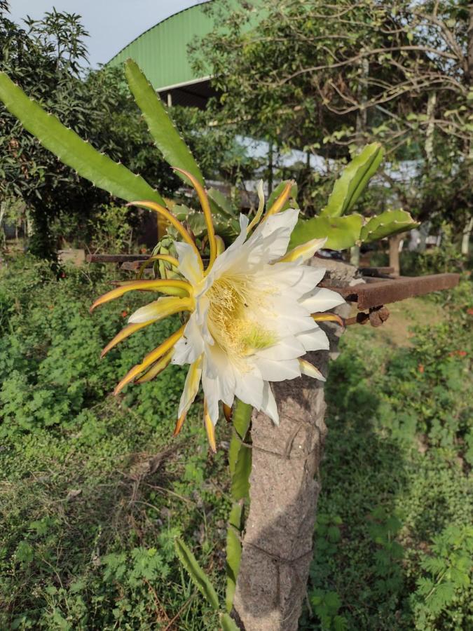 Hornbill Farm Resort ハイデラバード エクステリア 写真